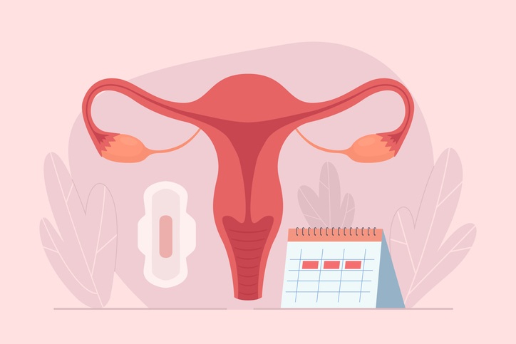 cykl menstruacyjny
